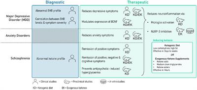 Exploring the role of ketone bodies in the diagnosis and treatment of psychiatric disorders